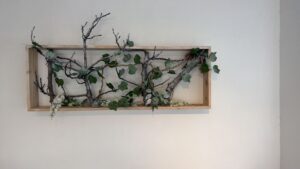 WhatsApp Image 2026-02-28 at 10.49.01 (1)