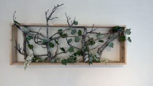 WhatsApp Image 2026-02-28 at 10.49.01 (2)