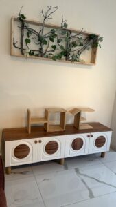 WhatsApp Image 2026-02-28 at 10.49.02