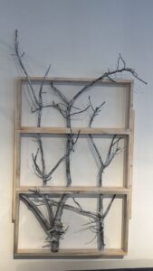 WhatsApp Image 2026-02-28 at 10.49.04 (3)