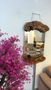 WhatsApp Image 2026-02-28 at 10.49.13 (2)