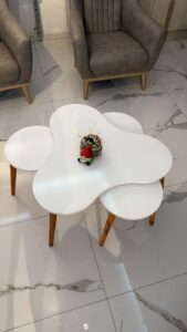 WhatsApp Image 2026-02-28 at 10.49.17 (3)